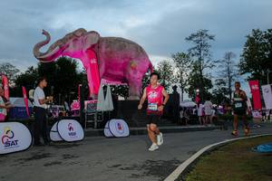 BIB: 
                            <button type="button" onclick="openModal(26529492)" class="btn btn-primary btn-sm float-right btn-popup" data-toggle="modal" data-target=".modal-high-quality">
                        <i class="fas fa-shopping-cart"></i> Add to Cart
                    </button>
                                            <button type="button" onclick="isThisMe(26529492, true)" class="btn btn-success btn-sm float-right btn-popup btn-isme hidden" data-toggle="tooltip" data-placement="bottom" title="นี่คือรูปของคุณใช่ไหม คลิกที่นี่เพื่อเอาเข้าอัลบั้ม">
                        <i class="fas fa-plus"></i> Add to album
                    </button>
                    <button type="button" onclick="isThisMe(26529492, false)" class="btn btn-warning btn-sm float-right btn-popup btn-isnotme hidden">
                        <i class="fas fa-ban"></i> Remove from album
                    </button>